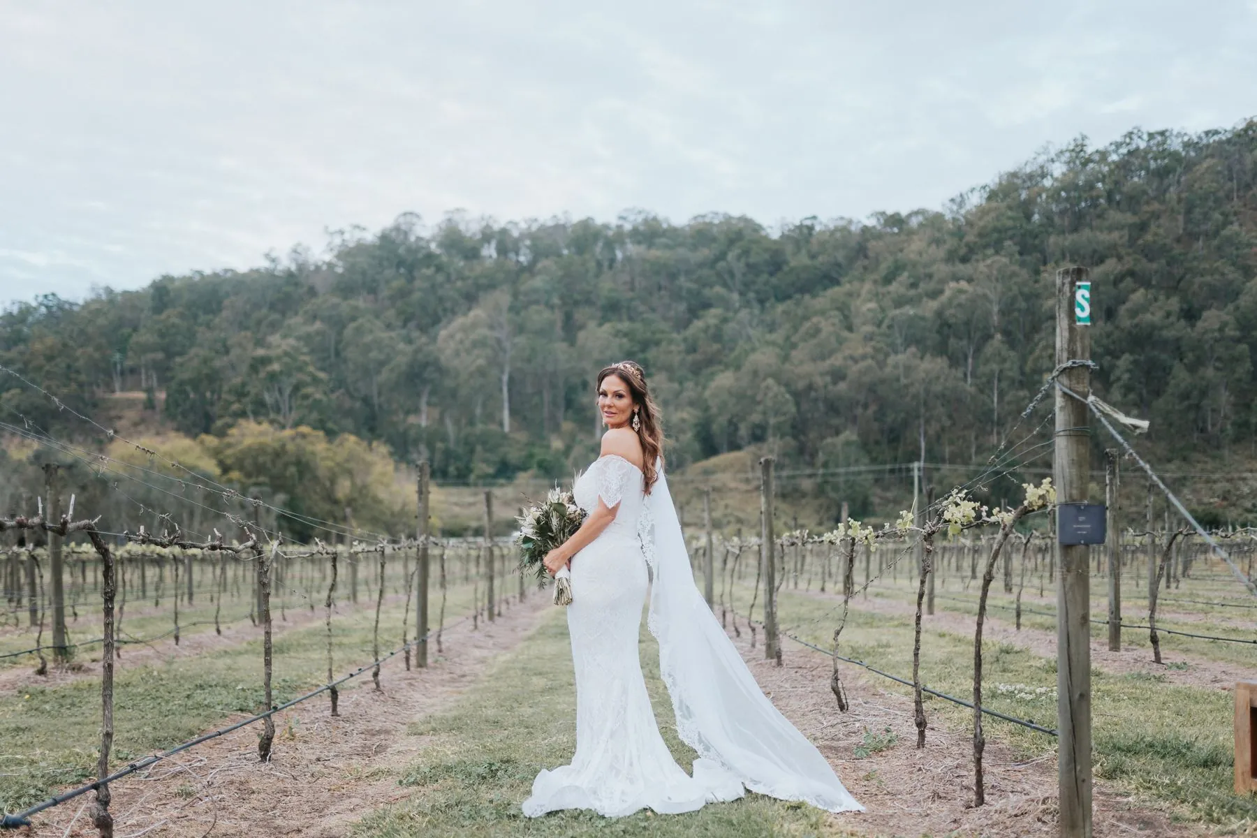 A Scenic Rim vineyard wedding